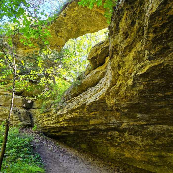 Near Natural Bridge State Park Loop