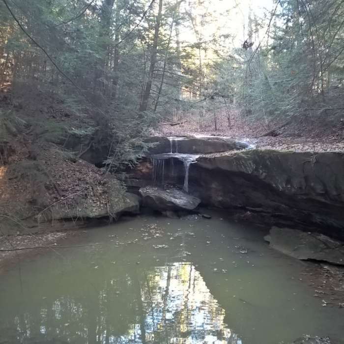 Near Boord State Nature Preserve