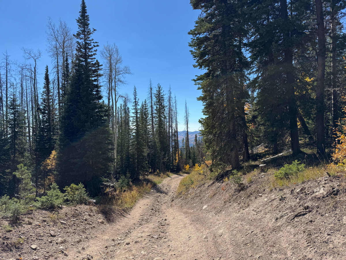 West Hahns Peak Road photo 5