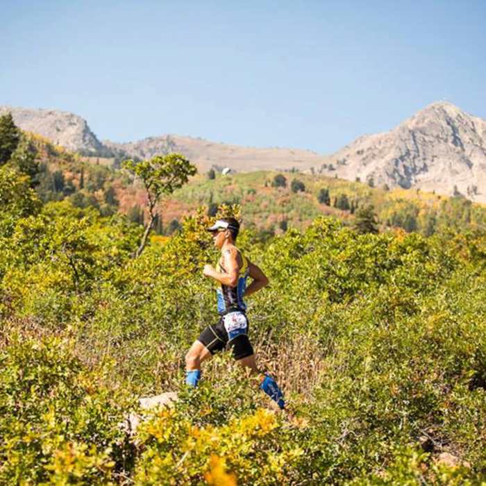 Near Snowbasin Trail