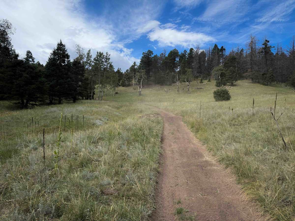 Stultz Trail - FS 1334 photo 4