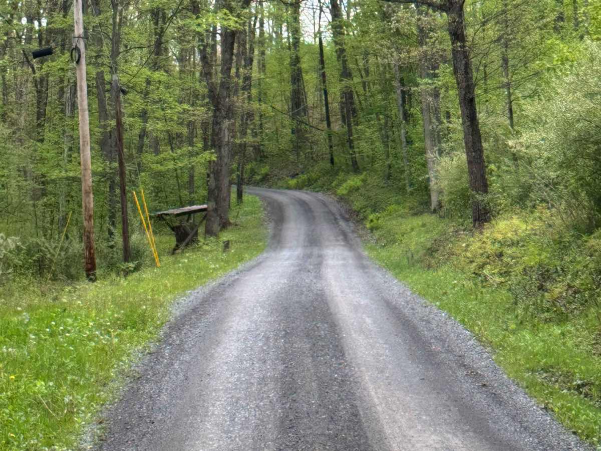 Hensel Fork Road photo 5