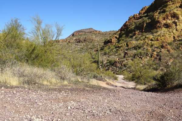 Willow Springs OHV trail