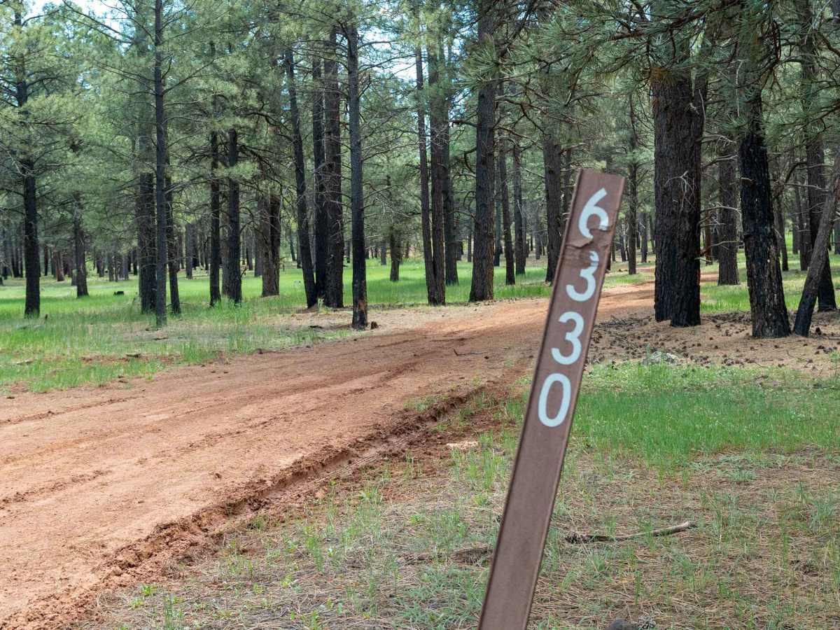 FS 6330 trail photo