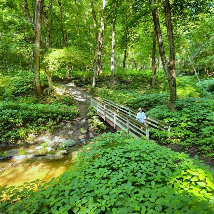 Crossing the first bridge in summer. Near Riley Creek Nature Trail