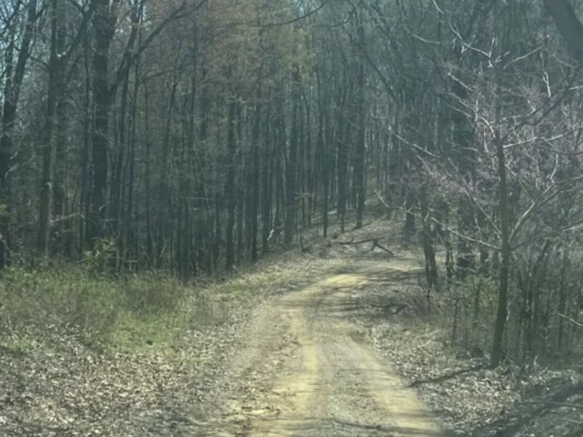 Morrell Hollow photo 6