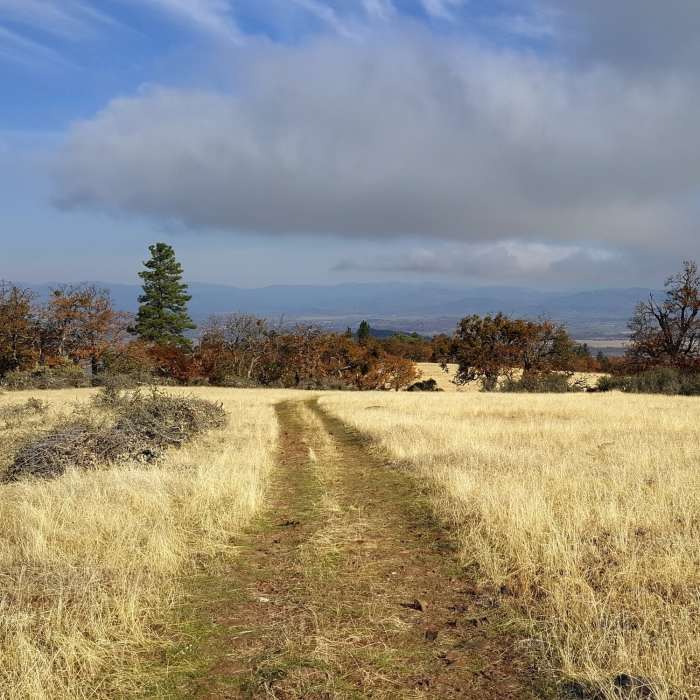 Near Equestrian Loop Trail