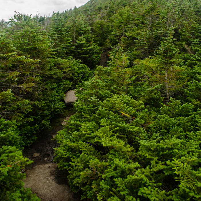 Near North Twin, South Twin + Galehead Mountains