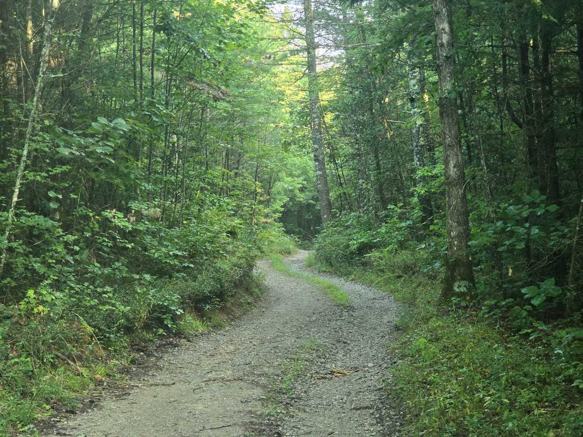 Gernt Road photo 3