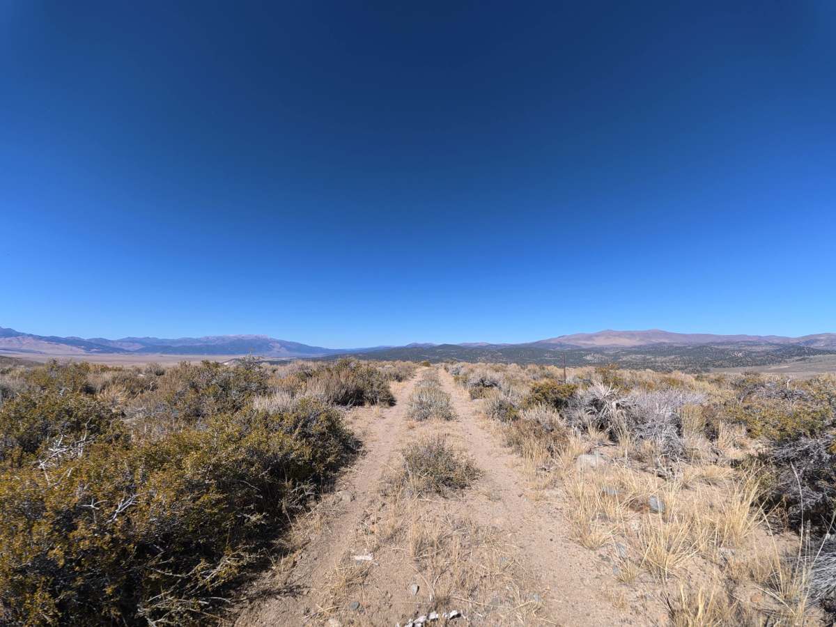 Dog Creek West photo 5