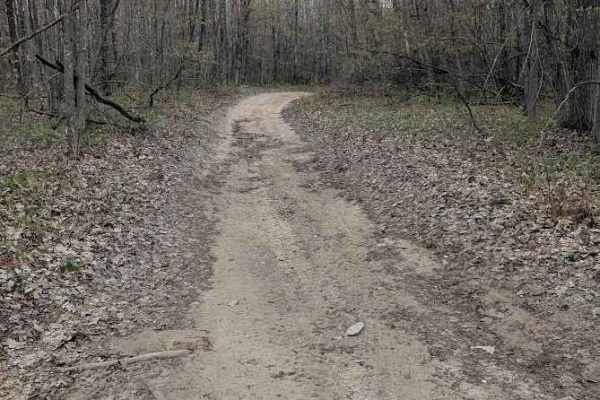 Loose Lane