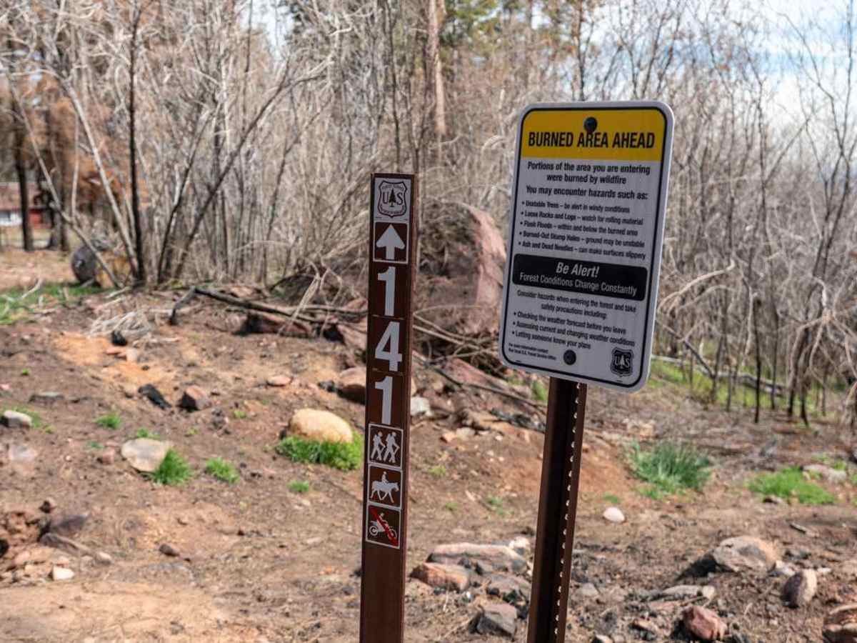 Murphy Ranch - FS 487A trail photo