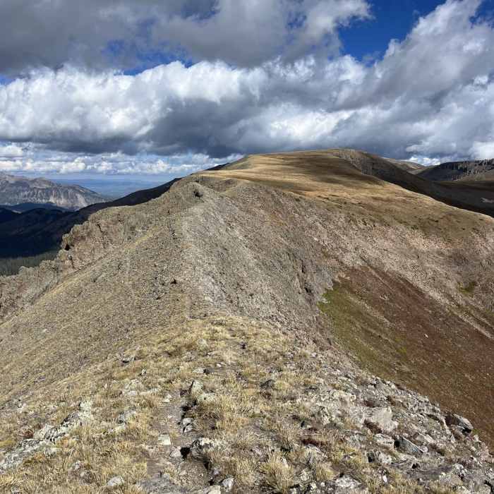 Near 4 Baldy Peak Bonanza