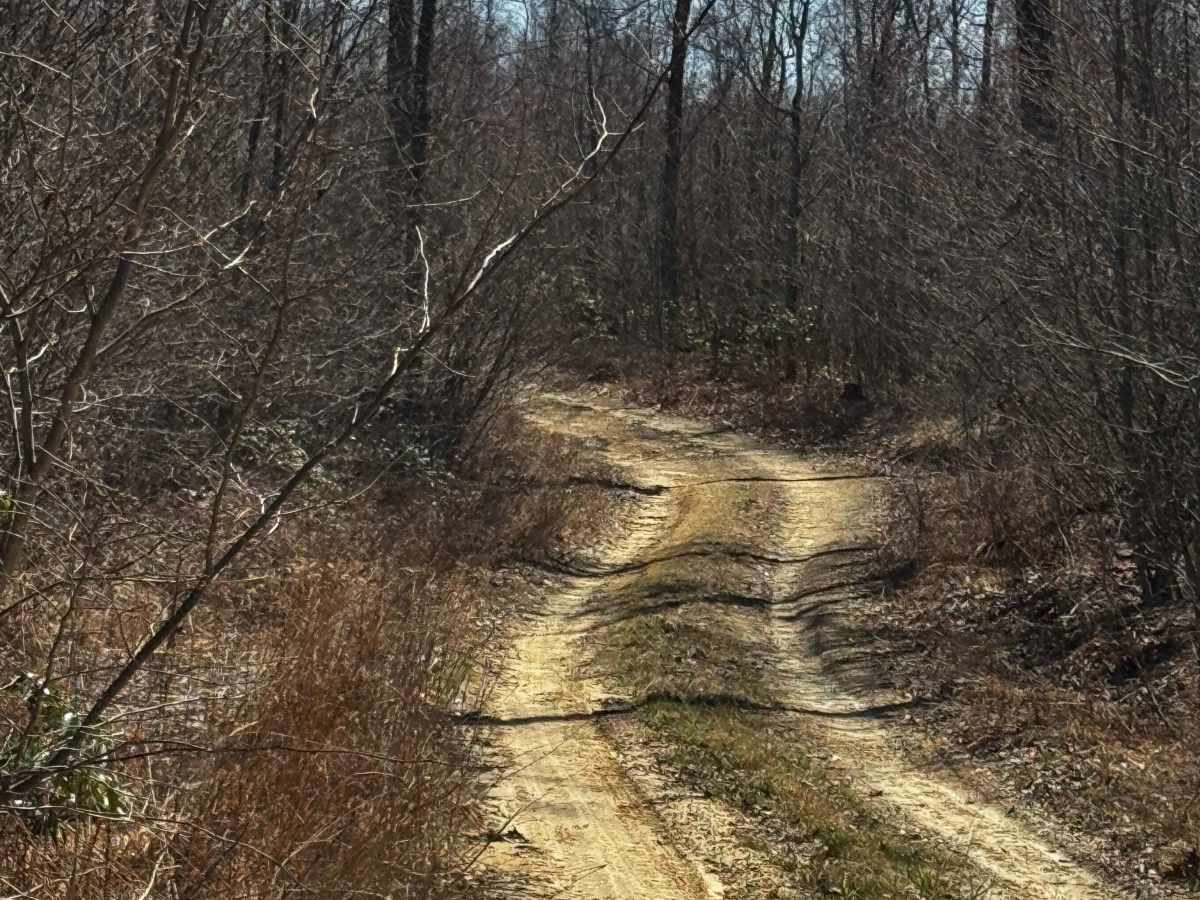Laurel Run Trail photo 5