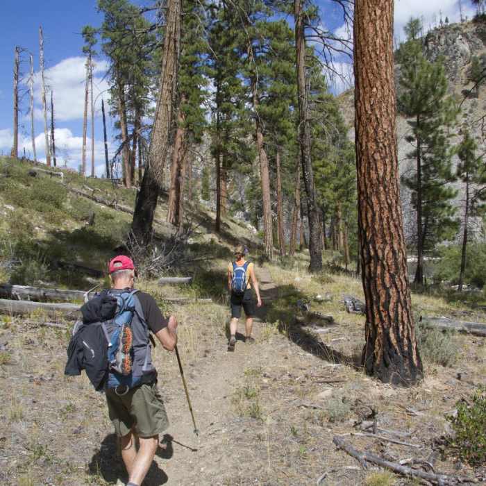 Near Middle Fork of the Salmon River Trail a Day 2