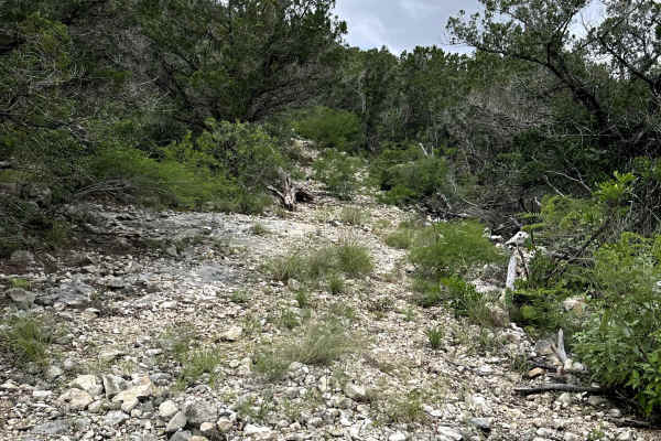 Danger Lane