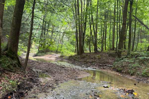 Little Buckhorn Creek Trail