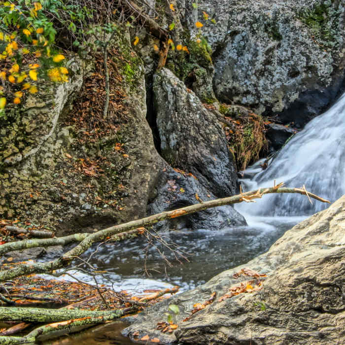 Cunningham Falls Near Cliff Trail