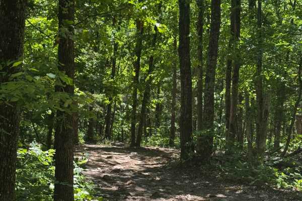 Inner Trail 42
