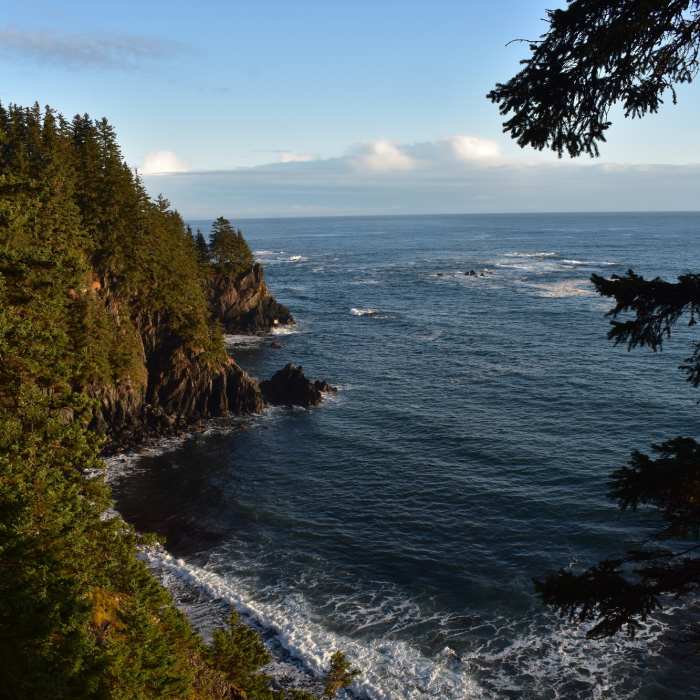Near Forest Connector Trail