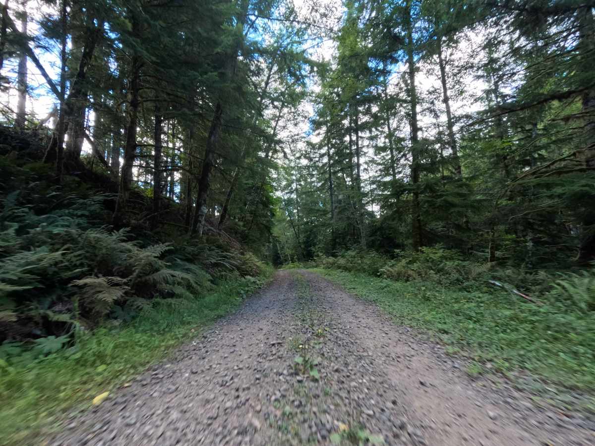 W-519 trail photo
