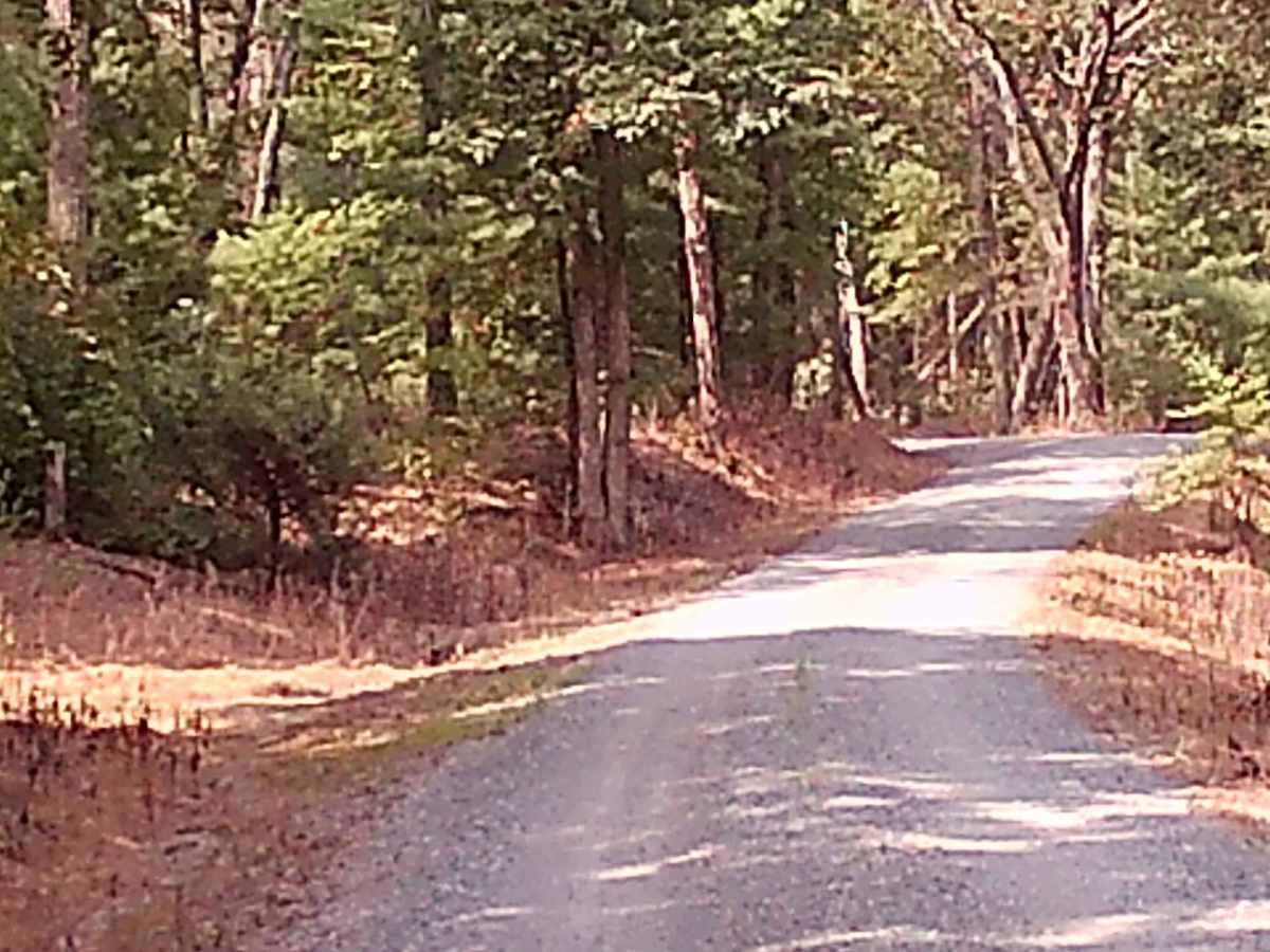 Weikert Run Road photo 5