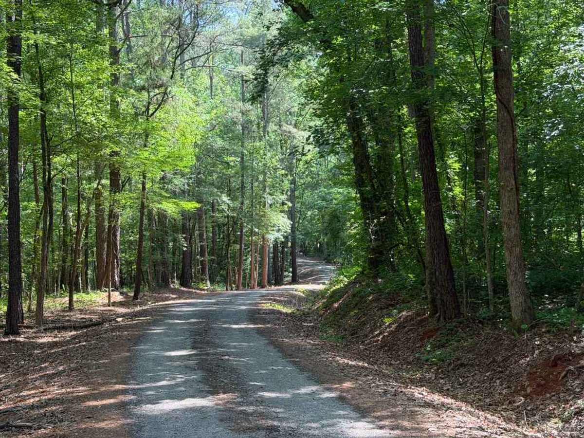 Anson Access Road photo 6