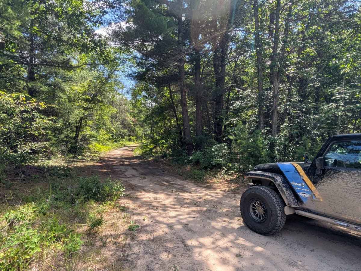 Jackpine Trail photo 2