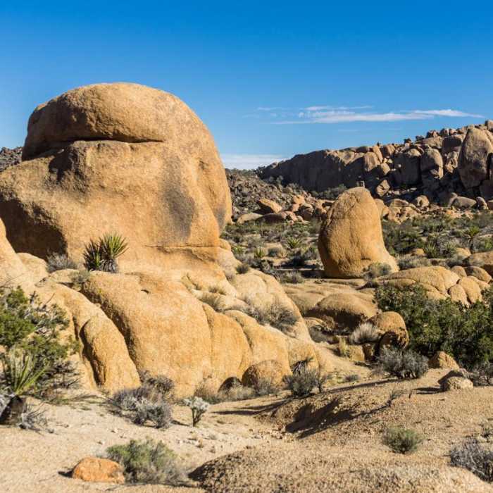 Near Split Rock Loop Hike