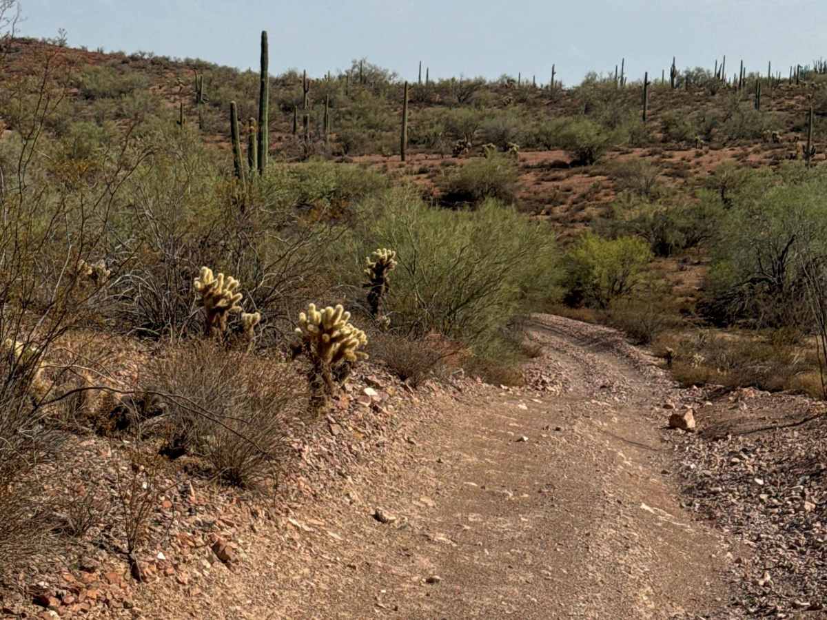 BLM 38064 photo 3