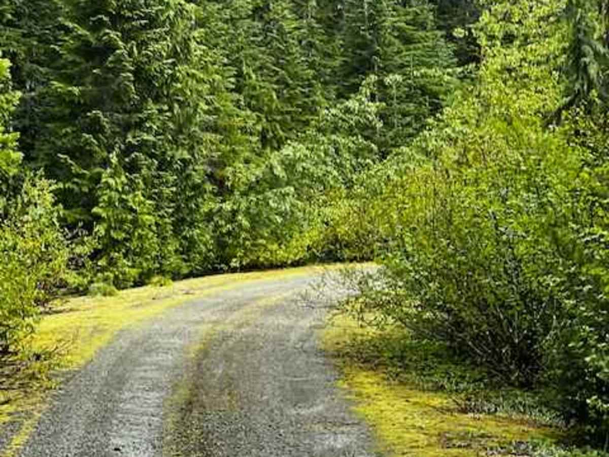 Dixon Mountain photo 6