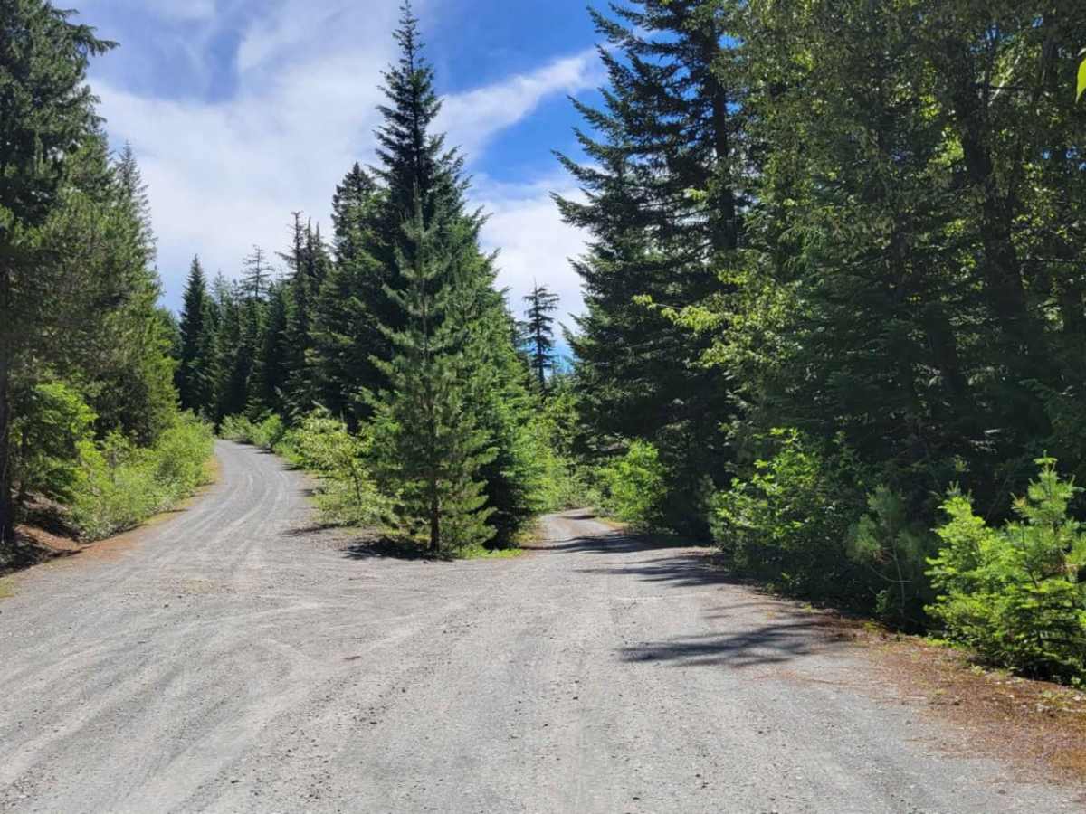 Mud Creek - Forest Road 309 trail photo