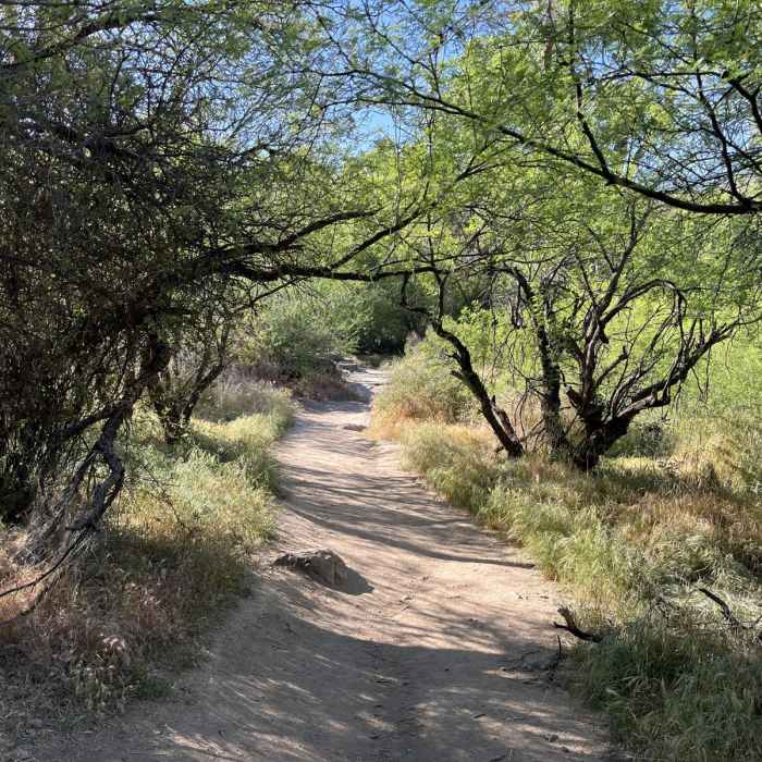 Near Spur Cross - Dragonfly Loop