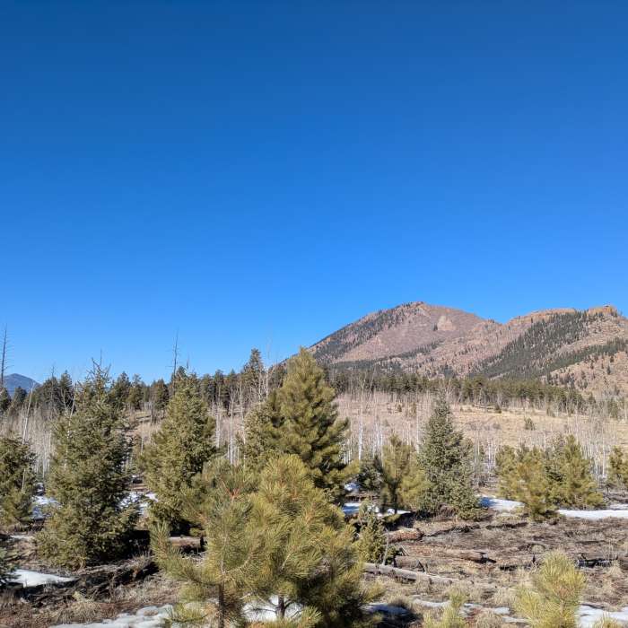Near Thunder Butte