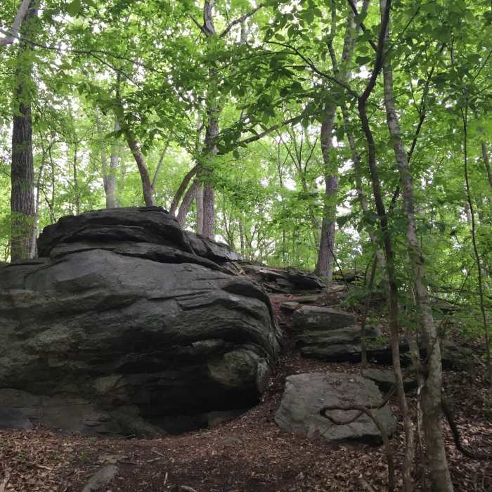 Rock formation off the trail opposite from the viewing/fishing dock. Near Jones Bridge Loop