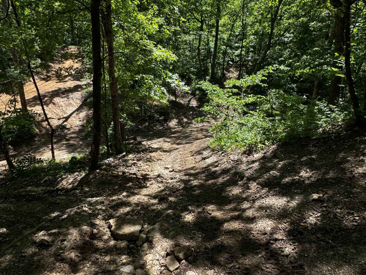 Hillside trail photo