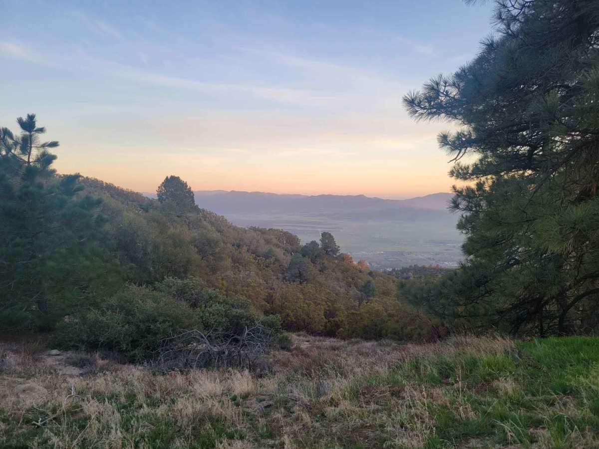 6S13 - Thomas Mountain Road trail photo