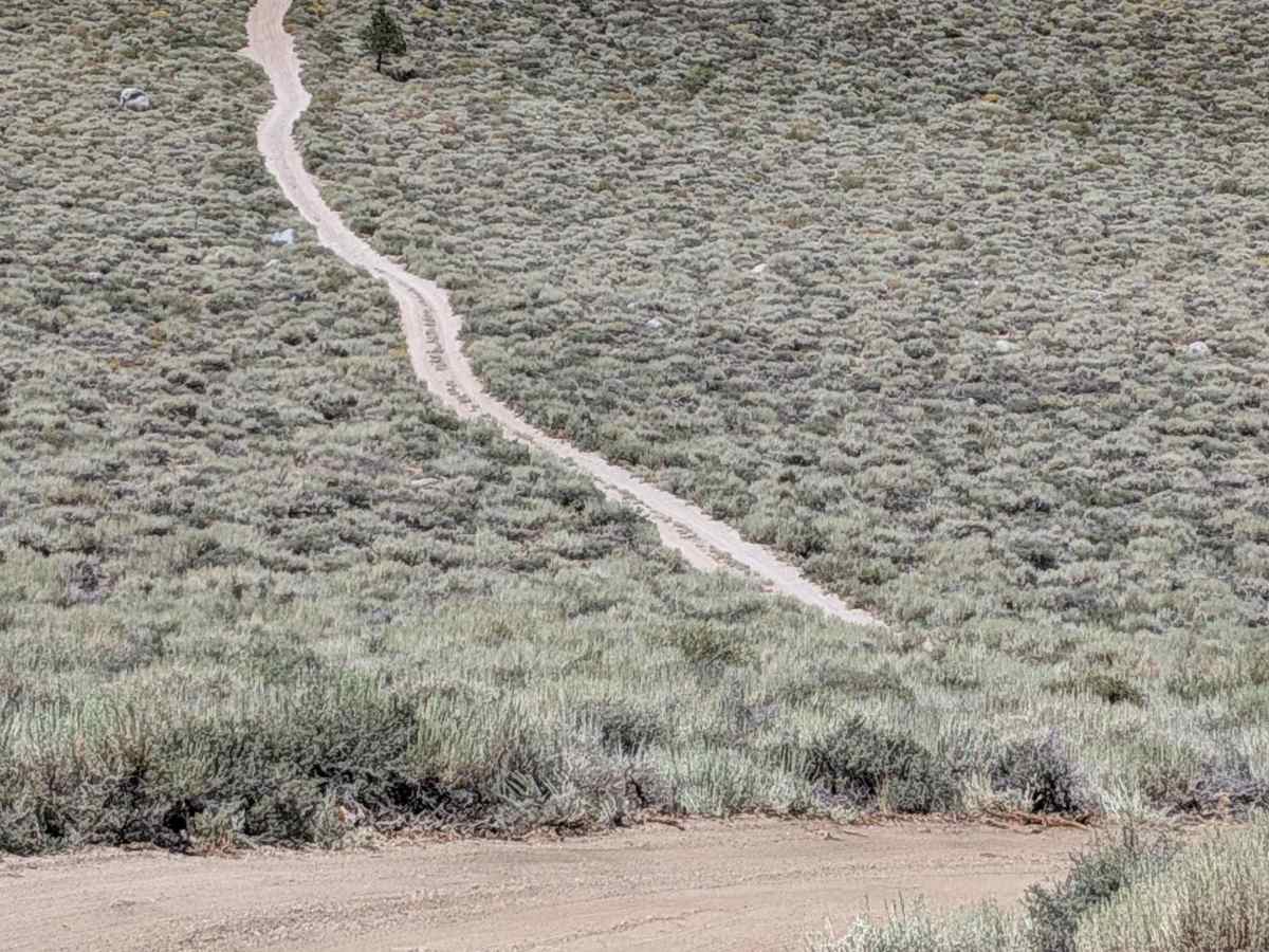  FS 1S104 trail photo