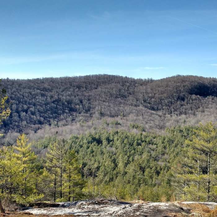 Near Little Green Trail #485