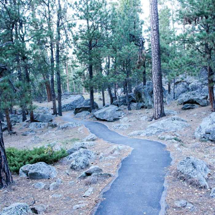 Near Tower Trail Near Tower Trail