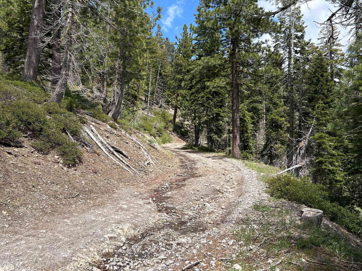 Mosquito Ridge Trail  trail photo