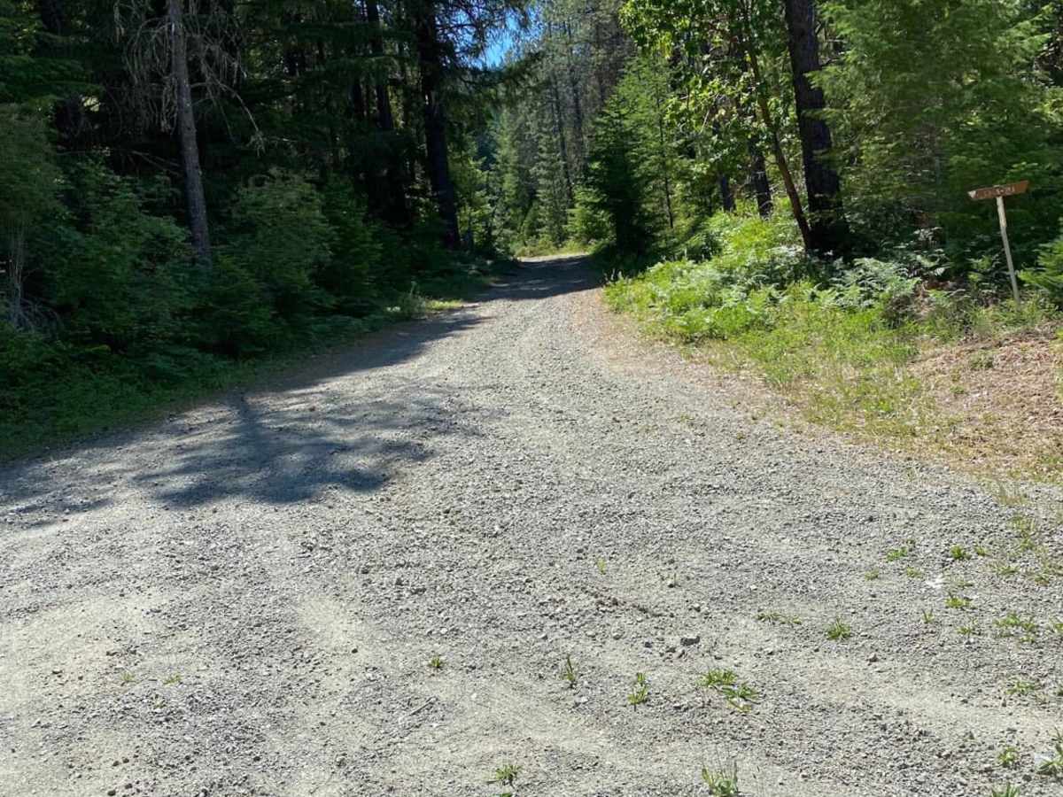 Elderberry Dead End photo 6