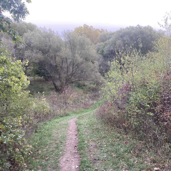 Near Willow Creek Reservoir Loop Near Willow Creek Reservoir Loop