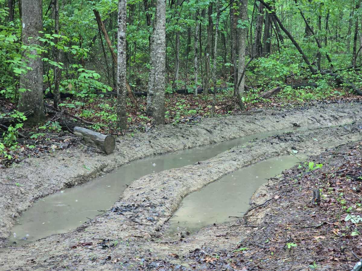 Trail 50 photo 2
