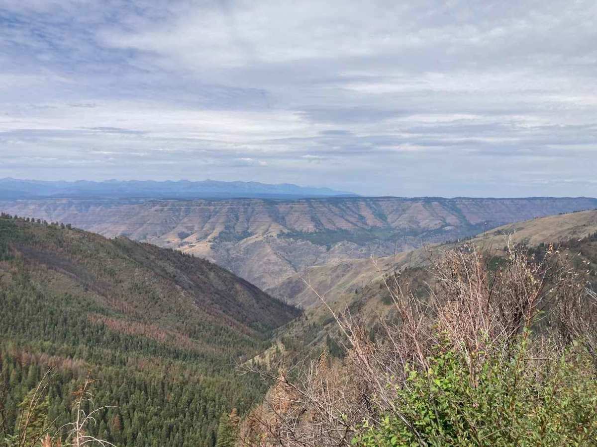 Horse Mountain Fire Lookout photo 5