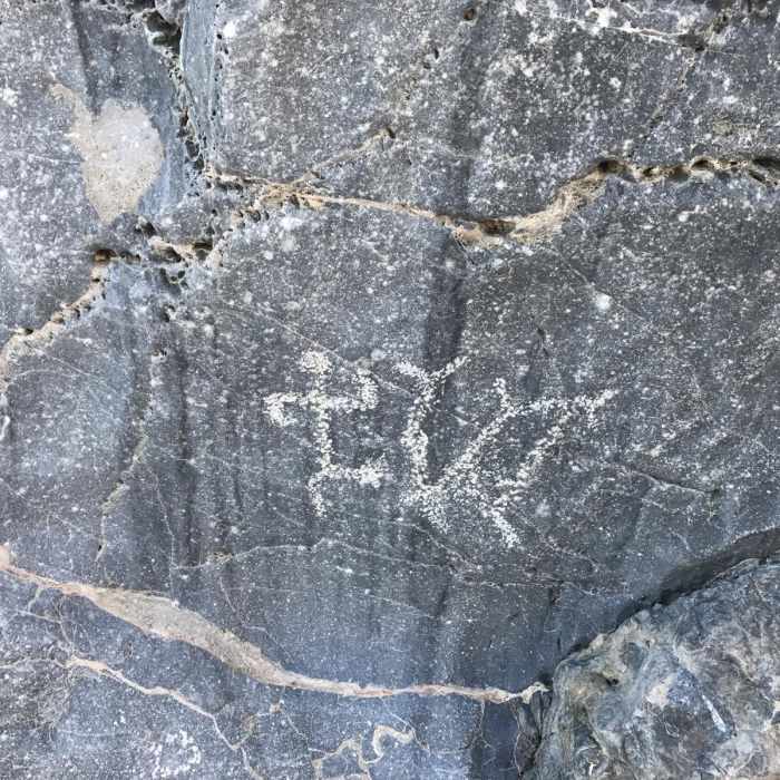 Near Marble Canyon Petroglyphs