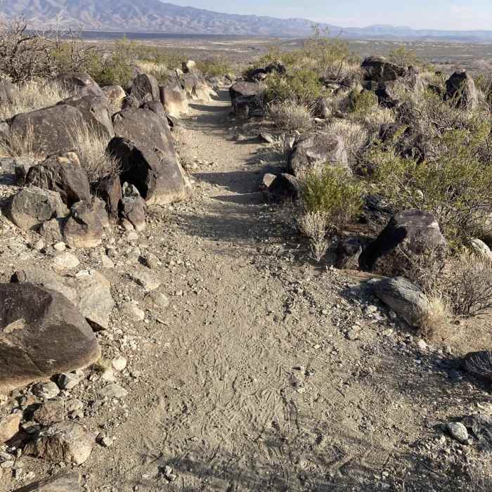 Near Petroglyph Trail