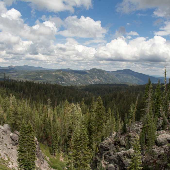 Near Kings Creek Falls Out and Back