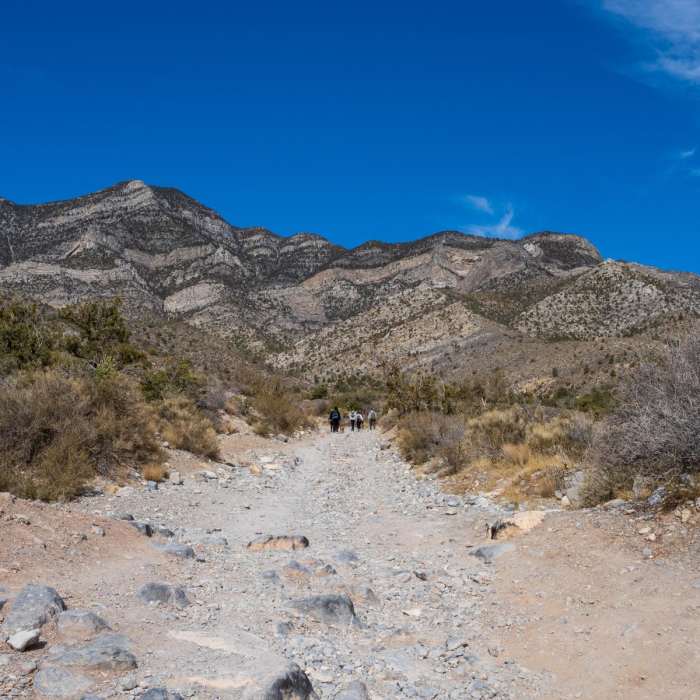 Near La Madre Spring