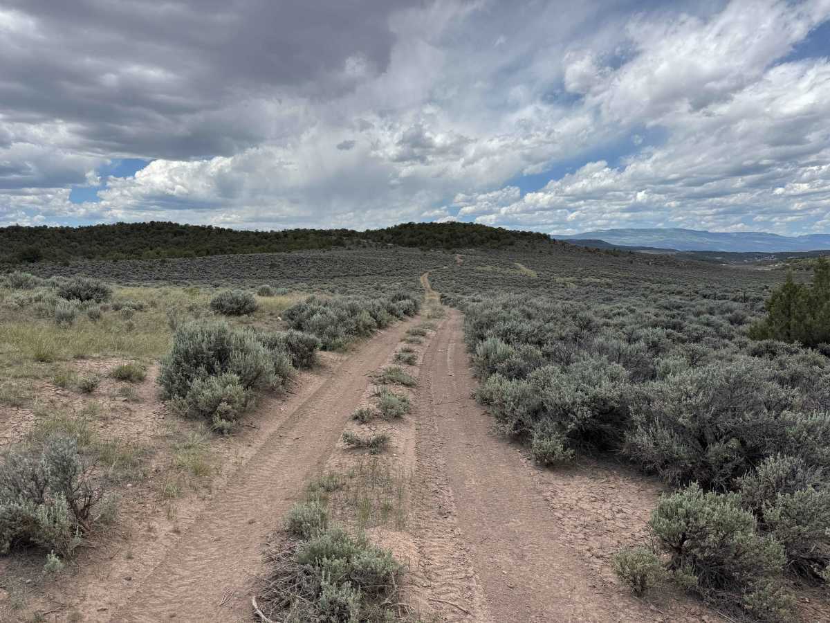 BLM 8473C photo 2